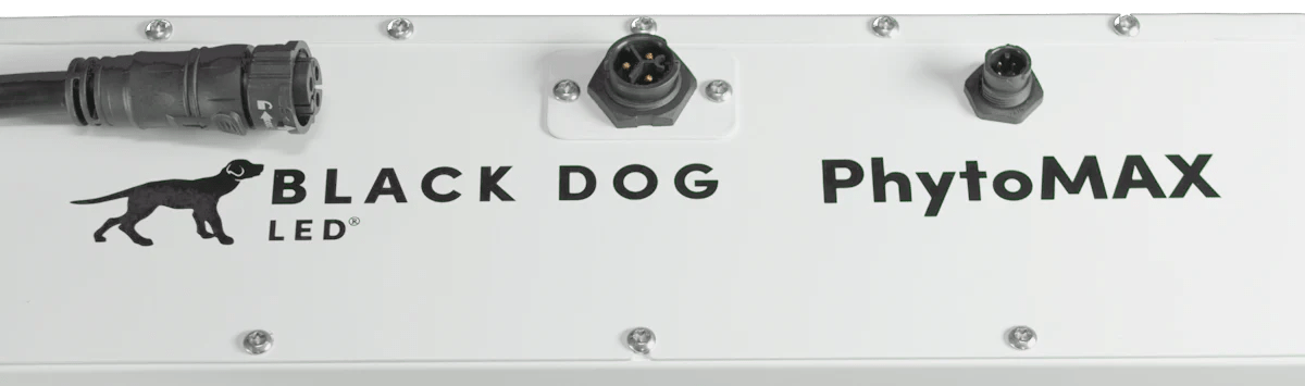 Black Dog LED PhytoMAX-4 8S Full Spectrum LED 500-Watt Grow Light - GrowGreen Machines